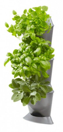 NATUREUP! KULMASARJA KOLMELLE KASVILLE 9676932-01