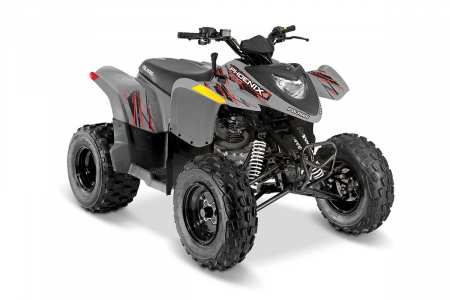 POLARIS PHOENIX 200 - AVALANCHE GRAY (MD) A23YAP20N4